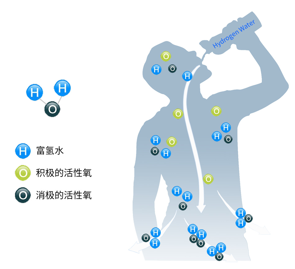 富氫水機配件